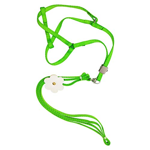 XINYIND Harnais pour Perroquet Parrot Leash Flying Anti-Bite Traction Rope Oiseau Entraînement Outdoor Carrying Flight Réglable Harnais pour Oiseaux De Compagnie Harnais Et Laisse Réglables Anti-Morsu Cover