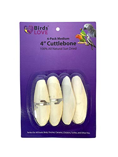 Birds LOVE 4-Pack 4" Cuttlebone for Cockatiels Parakeets Budgies Finches Canaries Lovebirds Small