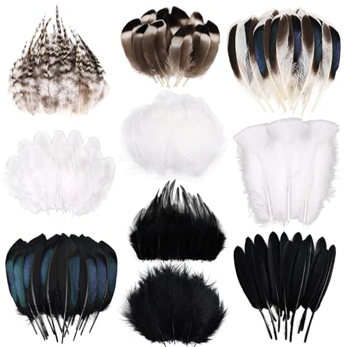 FeelfunFeather 300pc Mixed Decorative Pheasant Feathers DIY Crafts