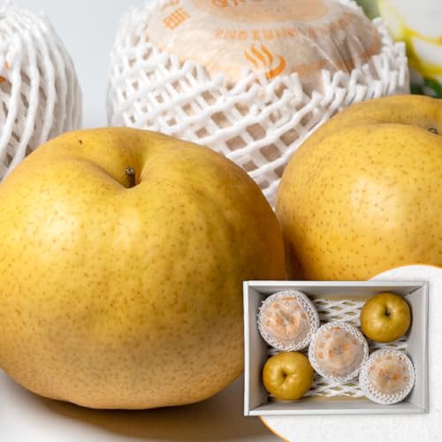 挧   5 6 5kg  傫  ƂƂ Ε j  Mtg ʕ 蕨 v[g p { t[c  Ȃ iV 傫  H 肵 ܂ Hׂ Ԍ   