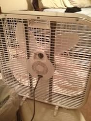 Amazon.com: Holmes HBF2001DP-BM 20-Inch Box Fan,Black : Home & Kitchen