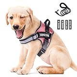 Peswety Service Dog Vest Harness in Training Pet No Pull Pet Puppy Harnesses Free 5ft Dog Leash 3M R