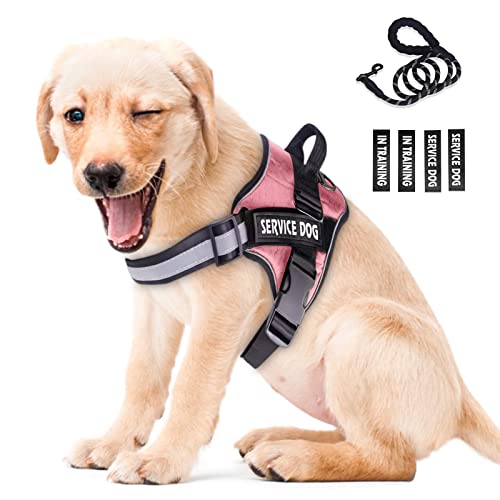 Peswety Service Dog Vest Harness In Training Pet No Pull Pet Puppy Harnesses Free 5Ft Dog Leash 3M Reflective Breathable Small Medium Large(Pink Xs) #TOP1