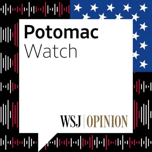 Supreme Court Rulings on Gun Rights, Immigration and More