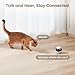Enabot EBO Air 2 FamilyBot Indoor Security Camera Robot: 2K Pet Camera, Movable Home Robot, Custom Facial Expression, Auto-Recharge, Battery-Operated, 2-Way Talk, Night Vision(Robin Pink)