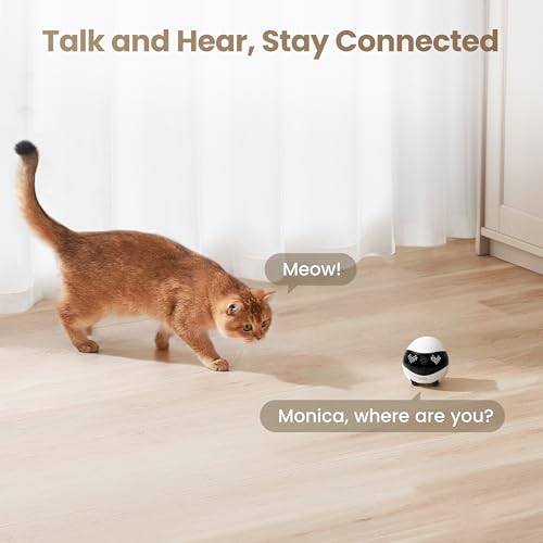 Enabot EBO Air 2 Mobile Pet Camera Robot: 2K FamilyBot with Two-Way Talk by Enabot EBO - Image 6