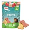 Dole for Pets Freshly Fetched Banana Strawberry Dog Biscuits Real Fruit Flavor Vegan Crunchy Snacks No Wheat Corn Soy or Artificial Additives 7oz Pack