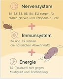 Lucky Pets Vitamin B Komplex für Hunde – 140 Tabletten mit Allen 7 B-Vitaminen für Starke Nerven und Immunsystem – Vitamin B Komplex Hund hochdosiert für mehr Vitalität – Made in Germany