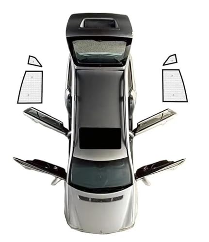 Pare-soleil voiture anti-UV pour vitres arrière CHR 2018-2023