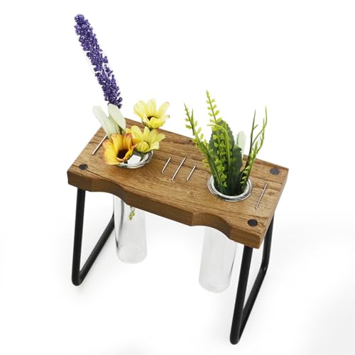 Propagateur de | Pot de de Bureau avec Support en Bois - Décoration Intérieure Et Accessoires De Jardinage pour Boutures De Pothos Et s