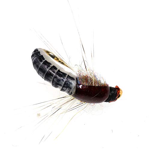 Greatfishing 43528-25367 6Pc #12 Super Sturdy Realistic Nymph Scud Flies For Trout Nymph Beadhead Fishing Wet Assortment Flies thumb #2