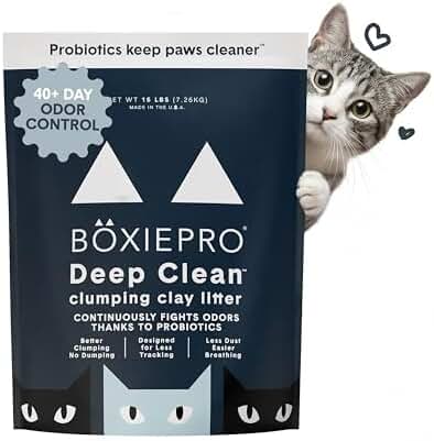 best odor control cat litter for small apartments