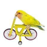YANQIN Bird Intelligence Training Toy, Parrot Puzzle Bicycle Educational Table Top Trick Prop Foot Talon Toy for Lovebird Conures Parakeet