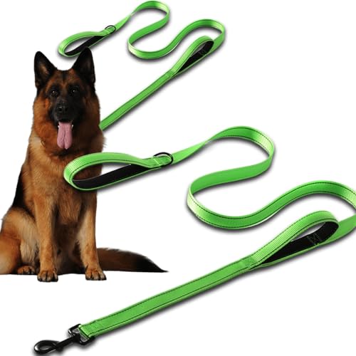 Correas Perros Medianos Marca Cozevdnt