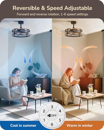 Image of EDISHINE 20 Inch Fandelier Caged Ceiling Fans with Lights and Remote, 10%-100% Dimmable, Rustic Bladeless Ceiling Fan, Small Farmhouse Fan Lights Ceiling Fixtures for Kitchen, Bedroom-Brushed Gold