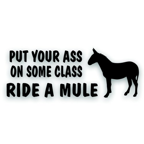 Put Your Ass On Some Class Ride A Mule Horse Decal Sticker for Your Tack Box, Truck Or Horse Trailer - 4 x 10 Inch Black