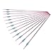 800 Spine Arrow 22.5 Inch Arrow Target Practice Arrow Hunting Arrow Carbon Arrows Compound Bow Recurve Bow Adult Youth Archery Indoor Outdoor Shooting Bullet Tip 12pc