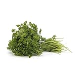Organic Curly Parsley, One Bunch