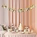 INNORU We are Engaged Photo Banner Engagement Picture Bunting for Wedding Bridal Shower Party Decorations Supplies Gold Glitter