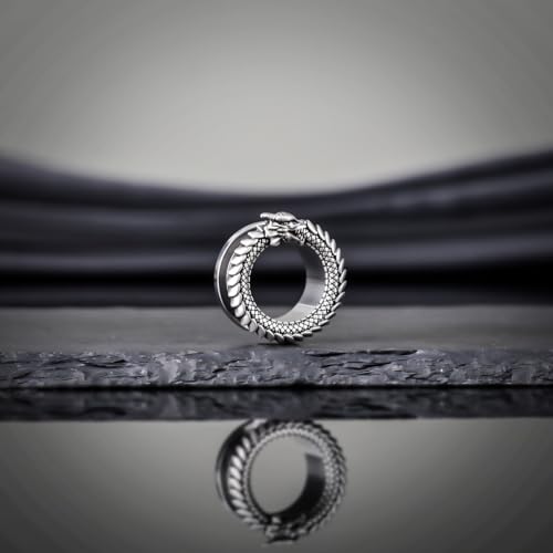 COOEAR Gauges for Ears, Owl Eyelet Tunnels Flesh Earring, Stainless Steel Silver Stretchers.4