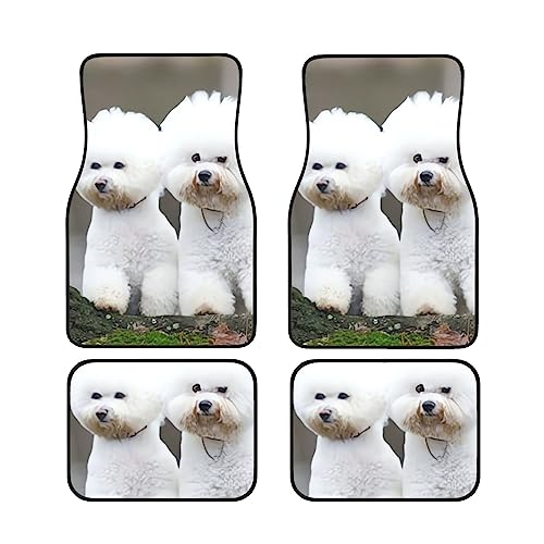 Tapis de sol Bichon Frisé pour voiture et SUV - Lot de 4 pièces quatre saisons avec envers caoutchouc