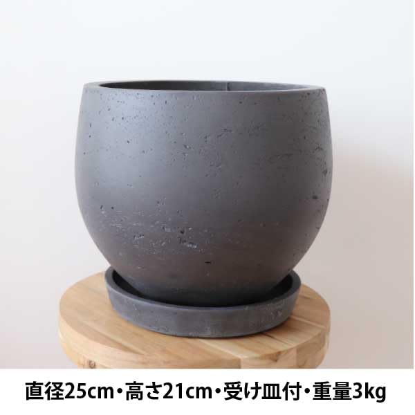 Amazon｜陶器鉢（8号サイズ）セット クッカバラ 根上がりタイプ 観葉