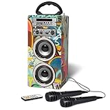pure acoustics noble  Pure Acoustics mcp-20 Stereo 6 W Da graphit – Tragbare Lautsprecher (6 W, 150 – 180000 Hz, verkabelt, 3,5 mm, Stereo Portable Speaker, graphit)