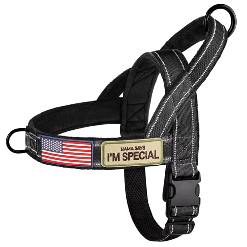 Forestpaw No Pull Dog Harness with Large Handle ANCbN[XobNtXbvI˃xXgA^^̃EH[LOg[jOp̉Kȃtln(pb`3t)AubN M