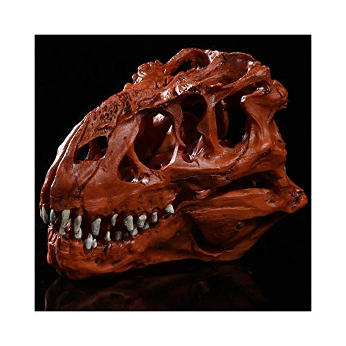 Hlake Bawang Faucet Bone Resin Dinosaur Skull Taro Animal Research Teaching Creative Home Decoration Personality Decoration Decoration Crafts