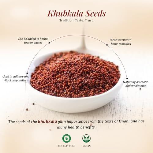 Image of DR ARYA Khubkala Seeds 100gm Khoobkala laal Sisymbrium Irio Hedge Mustard Seeds खुबकला लाल Cleaned & Sun-Dried Whole Seeds for Traditional Uses & Home Remedies