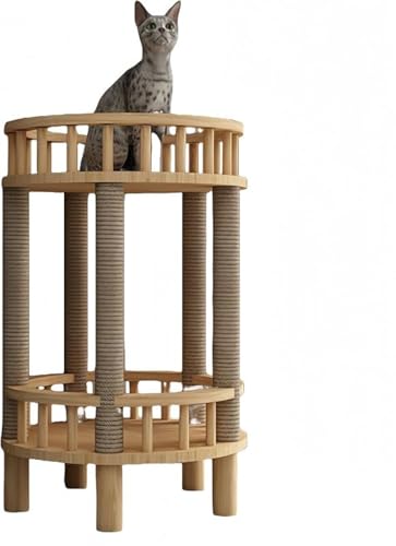 Xiraivke Lbg^[Cސ lGʗp LpxbhnEX @\ ƋCeA ȒPg