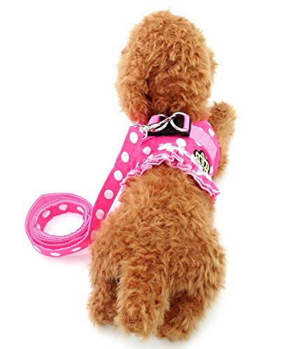 Brother Cat Dog Puppy Small Dog/Cat Dots Vest Harness Leash Set Mesh Padded No Pull Lead Pink M #TOP7