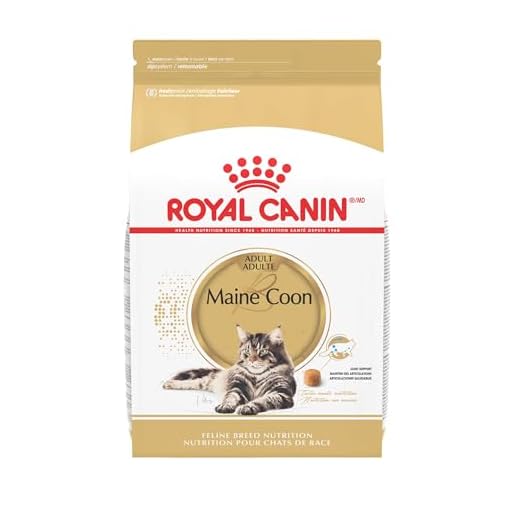 Royal Canin Maine Coon Adult Cat Food