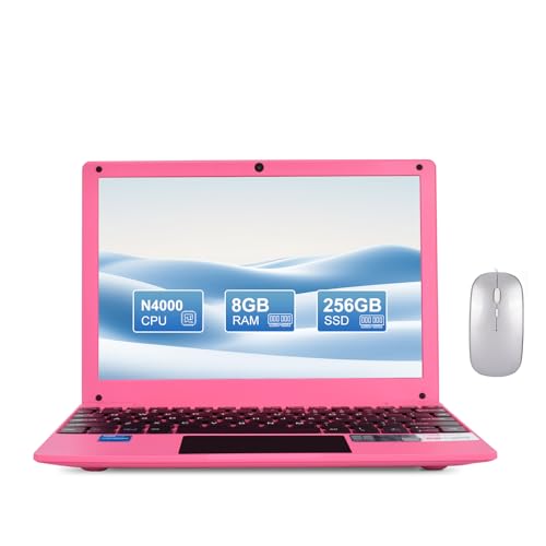 Fwmntu �~�j�m�[�g�p�\�R�� Celeron N4000 8GB RAM 256GB SSD HD IPS�X�N���[�� �w�K�p�|�[�^�u������m�[�g�u�b�N �I�t�B�X���[�N�s���N