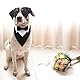Larrel Formeller Hunde Smoking, Hunde Smoking Fliege Verstellbare Hund Fliege Bandana Halsband Hochzeit Party Hundehalstuch Baumwolle Bandana Hundehalsband für Hochzeit Geburtstag Kostüme