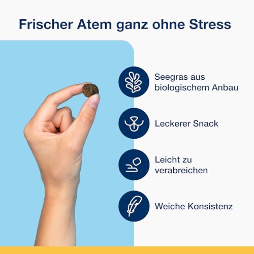 ProDen PlaqueOff Soft Chews für Zahnpflege Hund, Dose mit 60 Hunde Leckerlis, Natürliche Zahnreinigung Hund, für große Hunde, Hunde Zahnpflege für frischen Atem und Zahnbelag entfernen