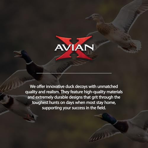 Avian X Topflight Early Season Mallard Duck Decoys, Floating Hunting Pack with Realistic Paint and Motion Keel, Multicolor, 6 Pack