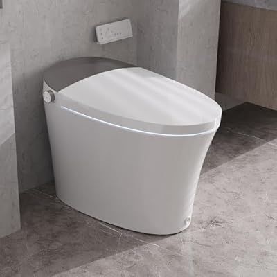 DeerValley Smart Toilet with Bidet Built In, Tankless Toilet with Auto Flush, Auto Open & Close, Heated Seat, Warm Water Sprayer & Dryer, Deodorization, and Remote Control, DV-1S0150-V3