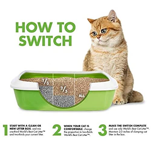 World's Best Cat Litter Multiple Cat Lotus Blossom Scented, 32-Pounds #TOP3