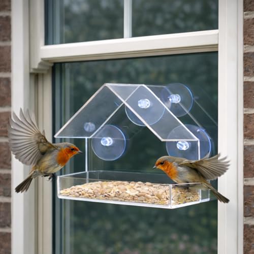 Greena Window Bird Feeder House, Clear Acrylic Design with Suction Cups Will Help Attract All Types of Garden Birds For Children and Adults to Observe And Enjoy 15cm x 15cm x 6cm