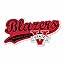 Valdosta State Blazers Distressed