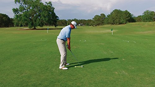 TAS Tour Edition Target Alignment System #TOP29