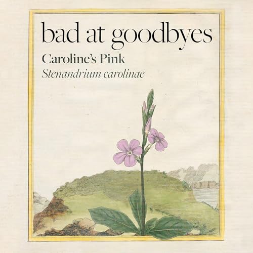 Caroline's Pink