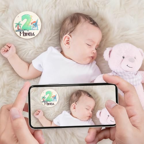 Image of Baby Monthly Milestone Signs - 13 Pack Wooden Baby Milestone Cards for 1-12 Months, Newborn Photography Props with Hello World Discs, Gender Neutral Baby Announcement for Boy Girl Age Shower Gifts