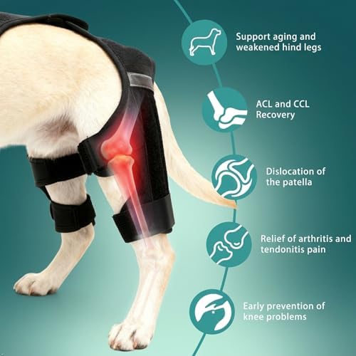 ALYBIT Dog Knee Brace, Adjustable Removable Soft Comfortable Dog ACL Brace Hind Leg, Easy to Wear & Clean Durable Dog Knee Braces for Back Leg, Support for Injury, Arthritis & Post-Surgery Recovery - 2
