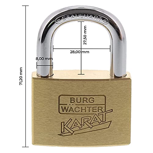 Burg Wächter Vorhängeschloss Karat 217 50/6 für hohe Sicherheit