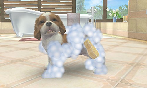 ハッピープライスセレクション nintendogs + cats トイ・プードル & Newフレンズ