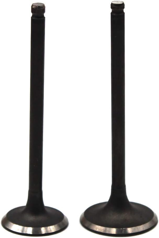 Road Passion Engine Intake & Exhaust Valve stem & Oil seal for Yamaha TT-R250 TTR250