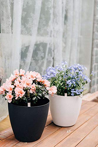 Pots de fleurs pour plantes grasses avec indicateur d'eau T4U, lot de 4 - 4