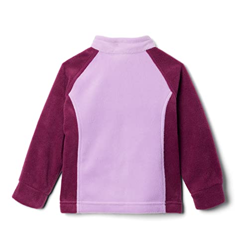 Image of Columbia Kids Benton Springs Fleece (Little Kid /Big Kid)